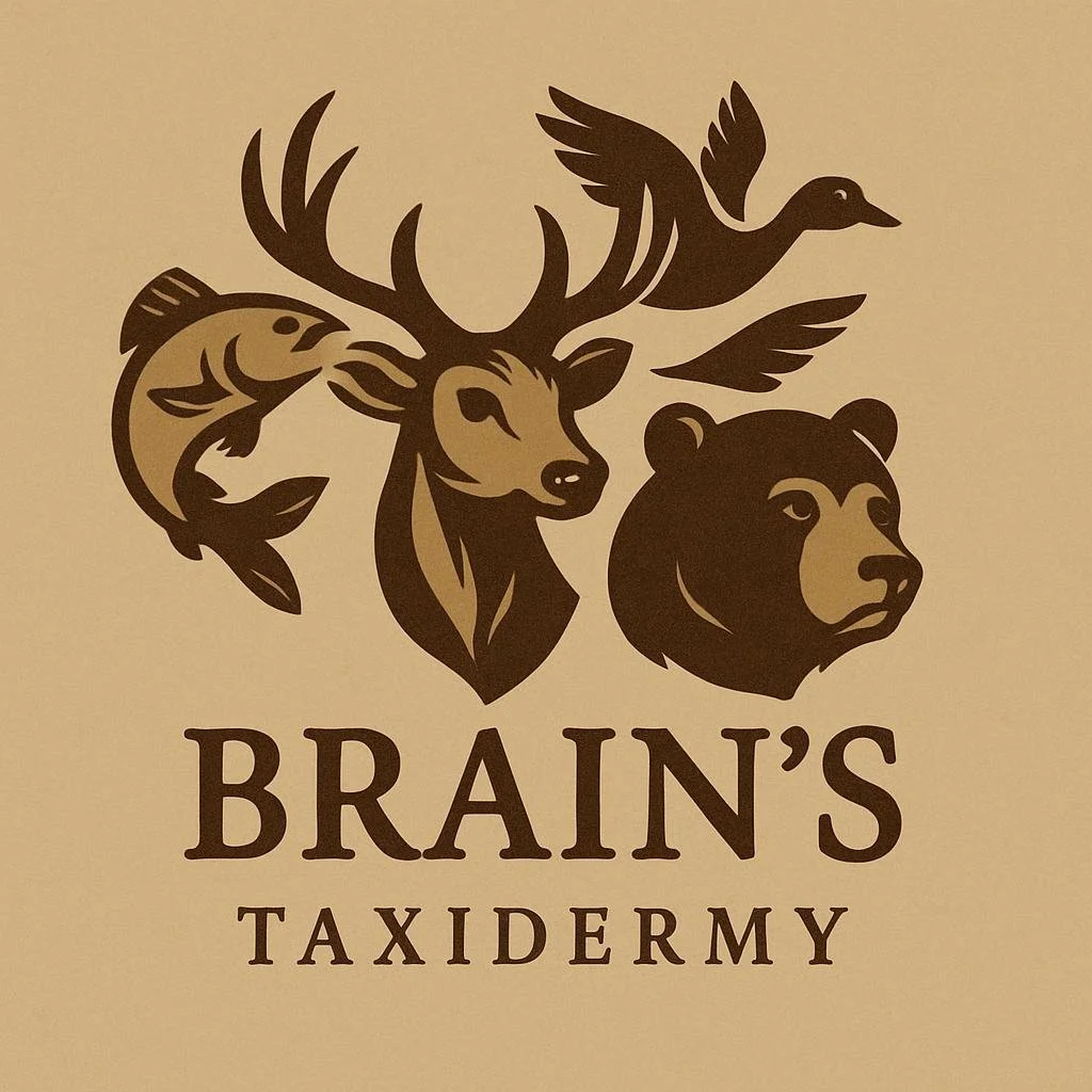 BRAIN'S TAXIDERMY
