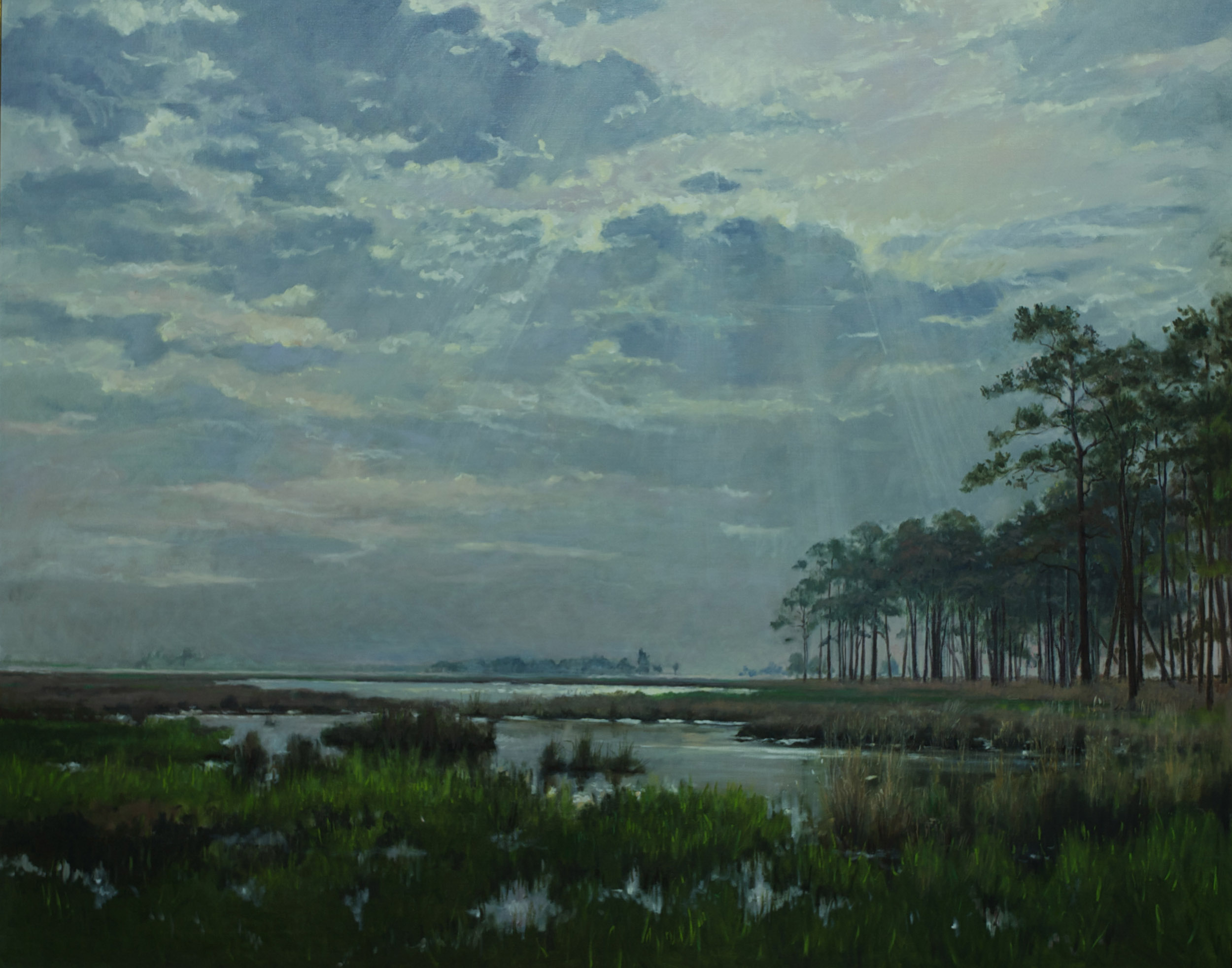 Blackwater Marsh, MD. 48” x 60” Sold