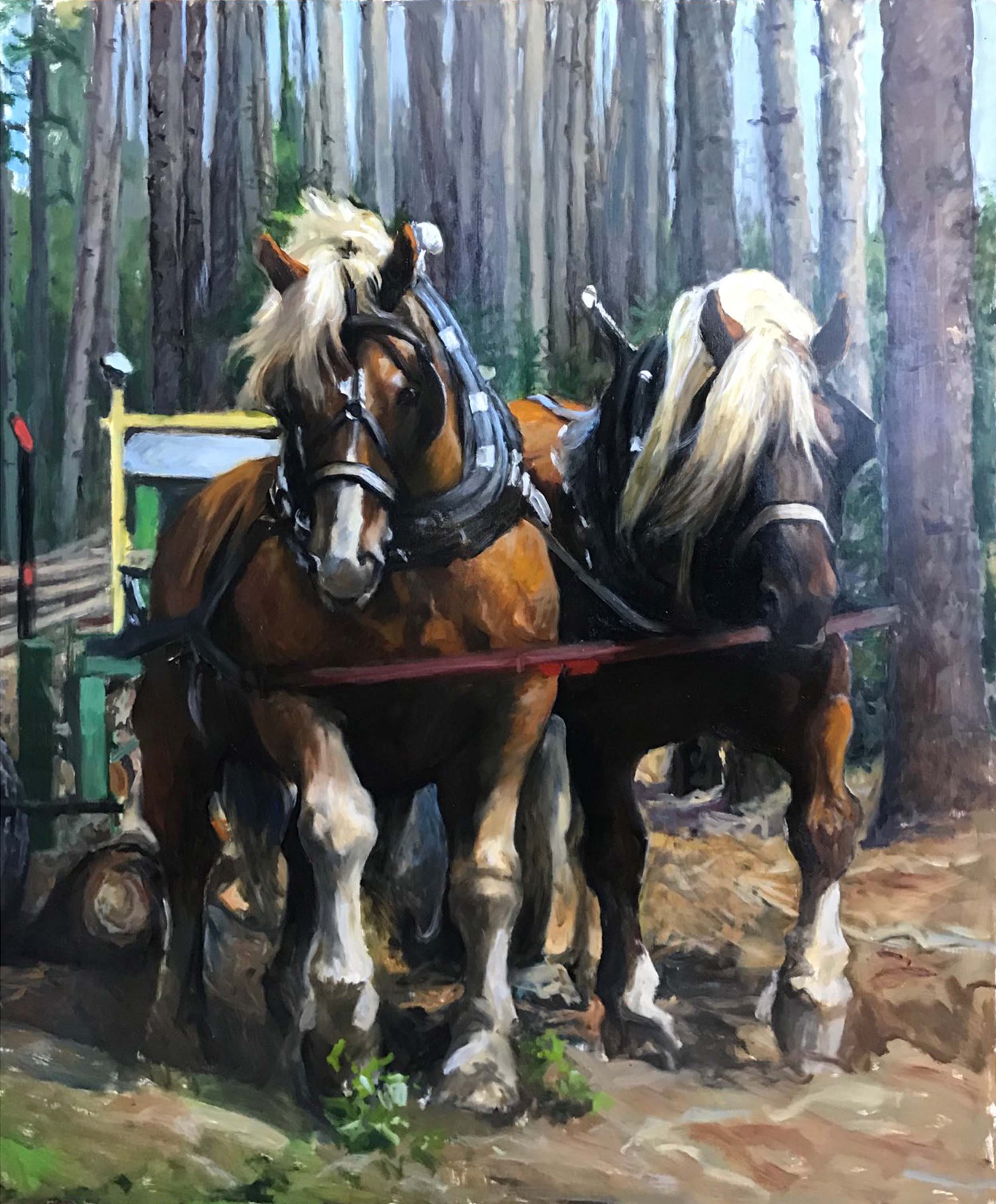 Cleaning Up the Logging Trails. 36" x 48"