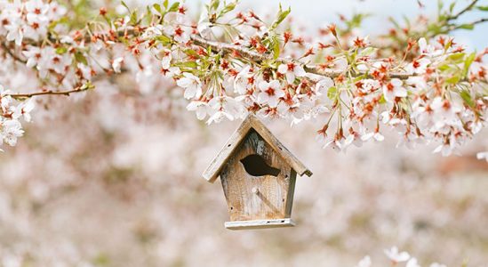 20190327-Share-KCM-549x300.jpg