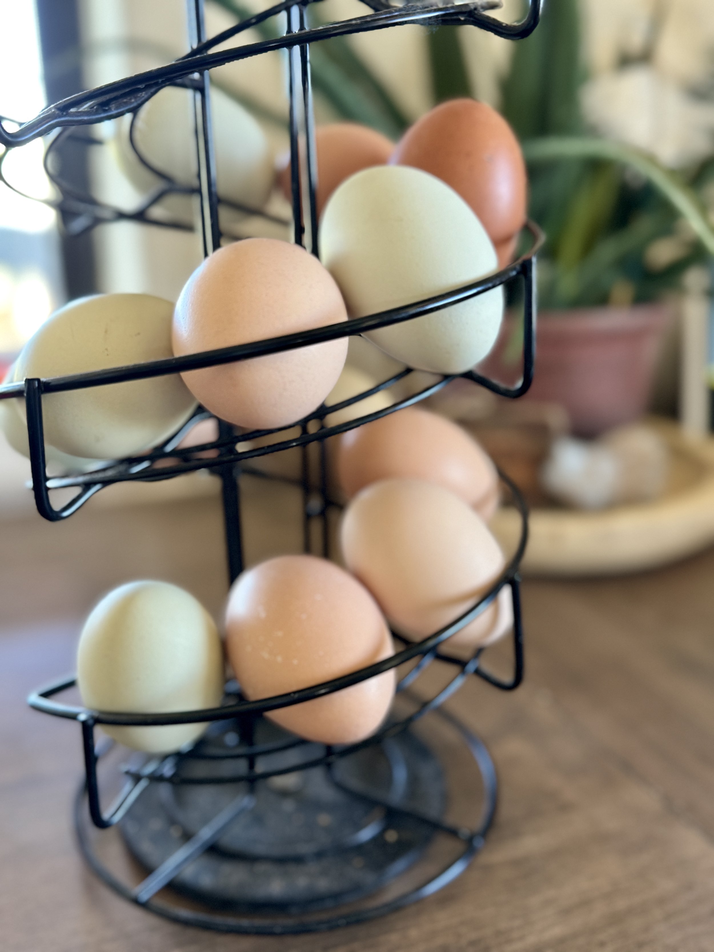 Egg Carousel + Basket