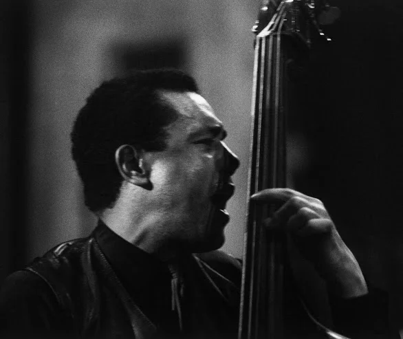 mingus - tiger