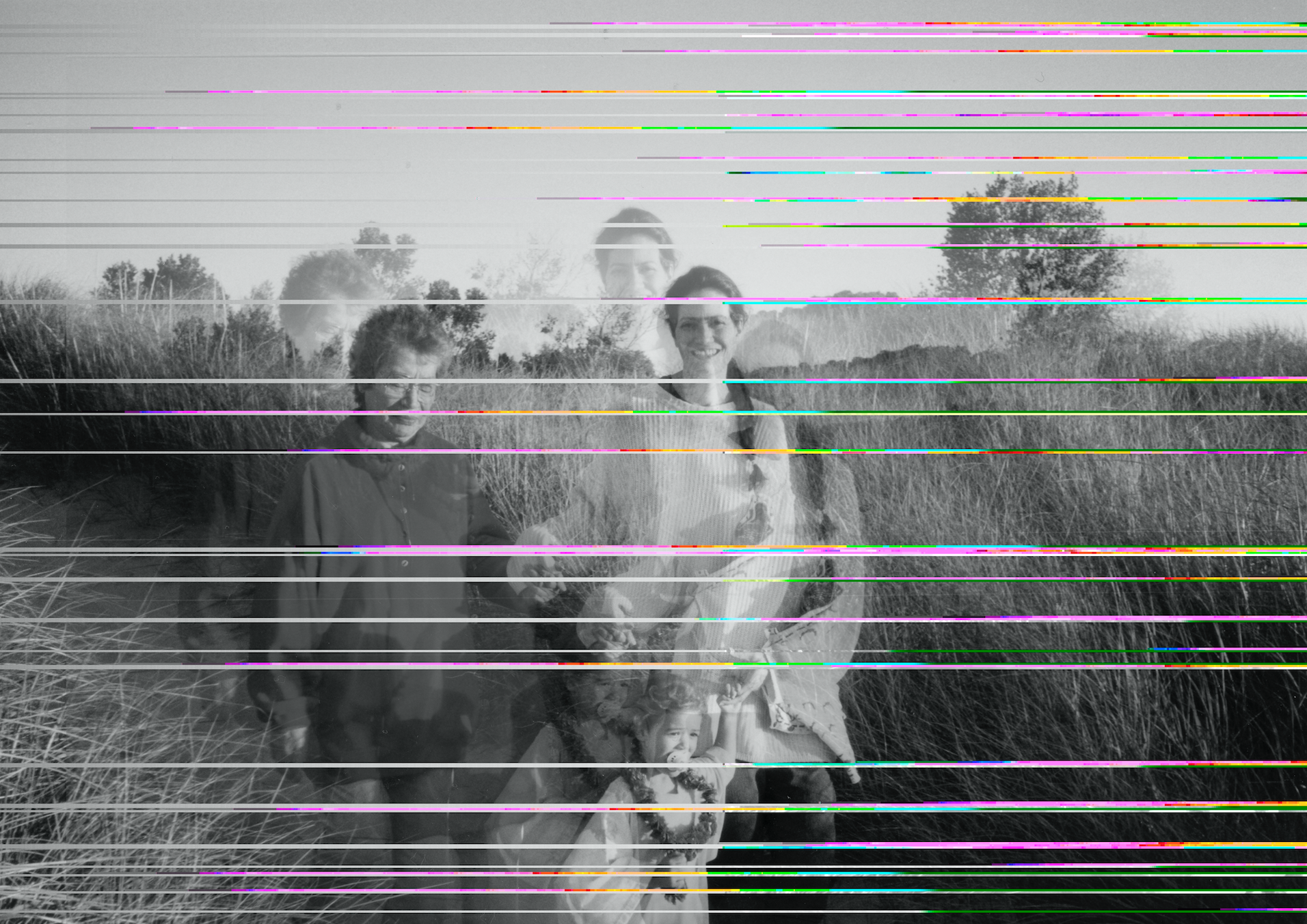 Screen Shot 2019-06-25 at 8.14.32 PM.png