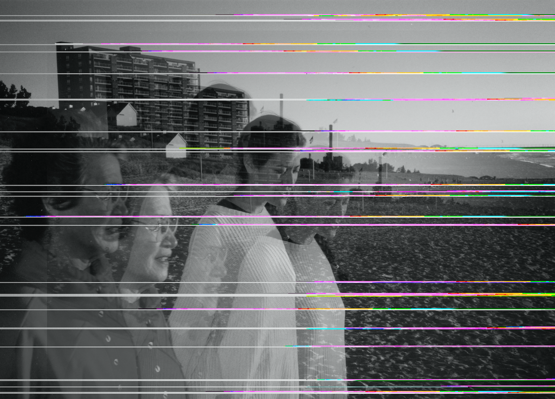 Screen Shot 2019-06-25 at 8.15.15 PM.png