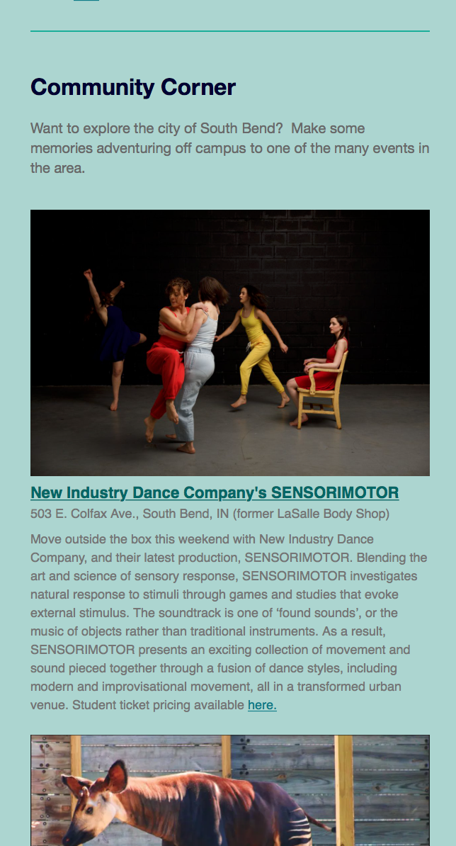 Newsletter Template Done in MailChimp 2019, more images below