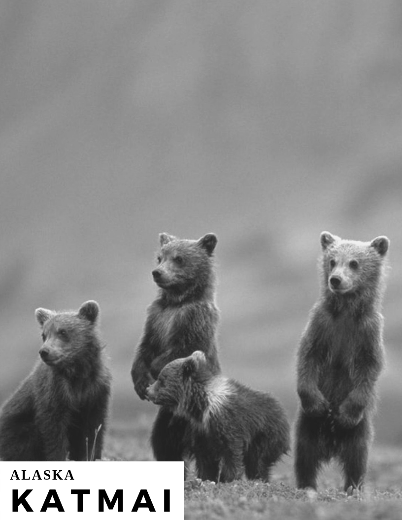 Katmai National Park