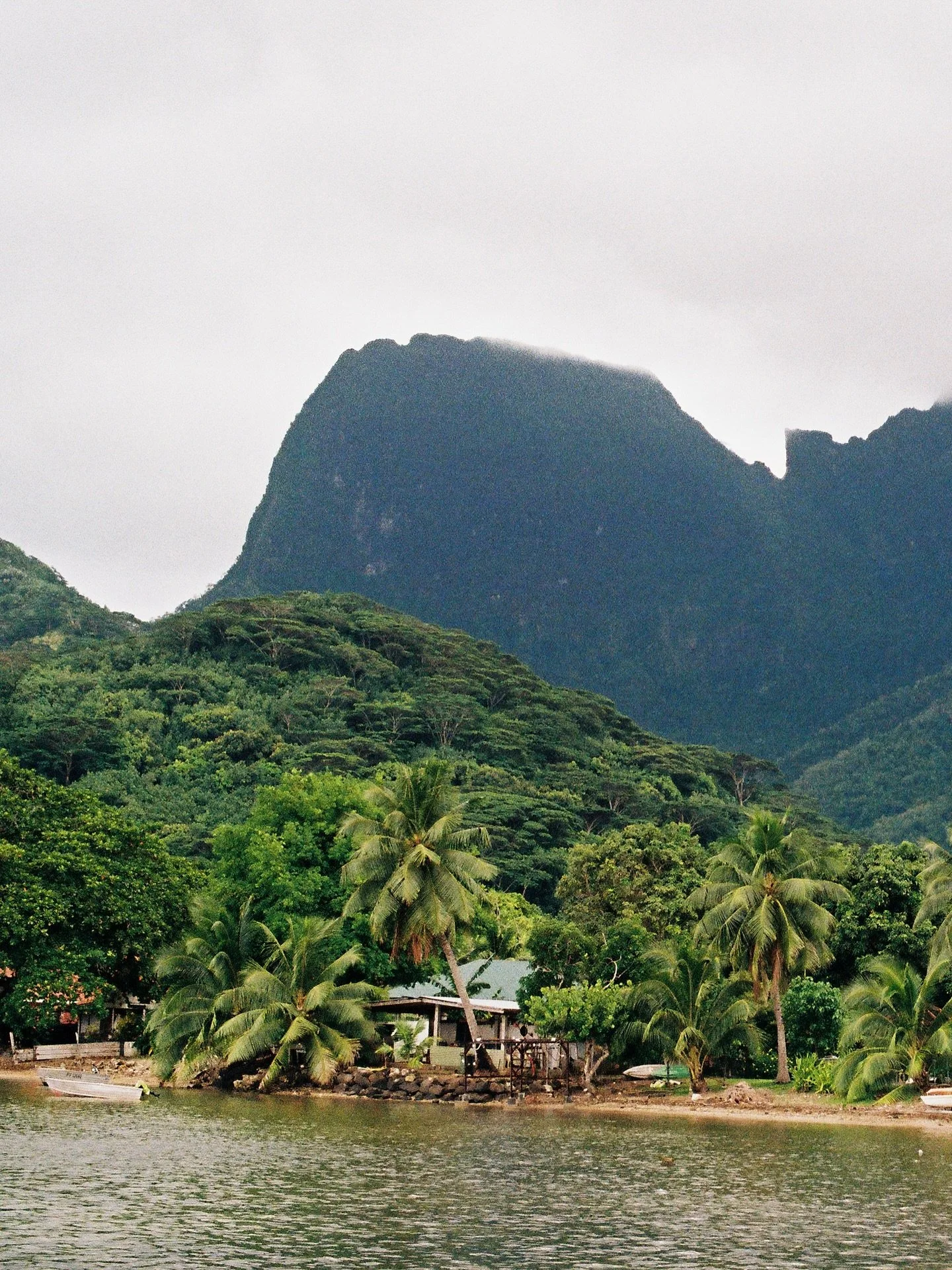 What better time to post photos from a trip four months ago than while sitting at the airport? It feels right. Anyway, here are some film photos from a week well spent on Mo'orea back in February. Sunshine, splendid company, and many dogs.