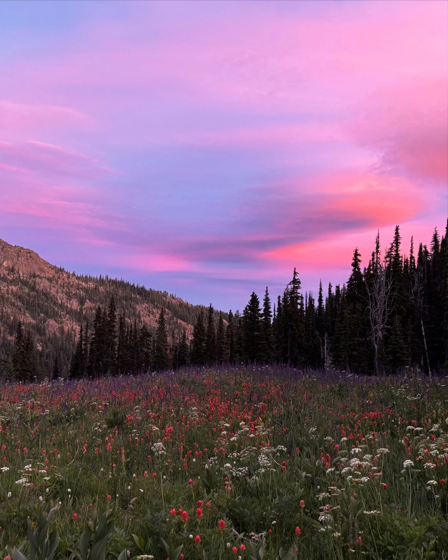 People, places and things of 2025 (yes, I&rsquo;m late to the party). This is mostly a love letter to my people, because without them all the places and things would be far less magical.

The first half of 2025 was BUSY. In the first 4 months I&rsquo