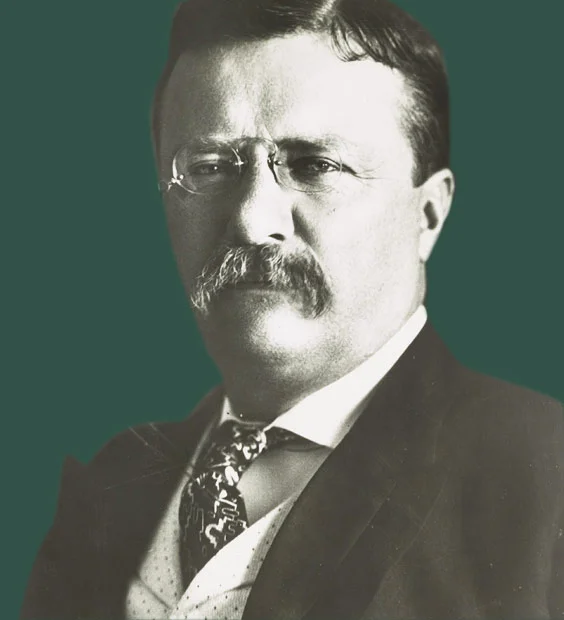 teddy.jpg