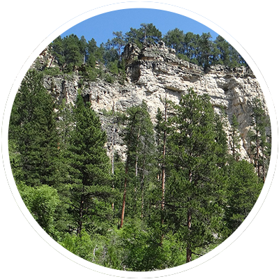 custer-state-park.png