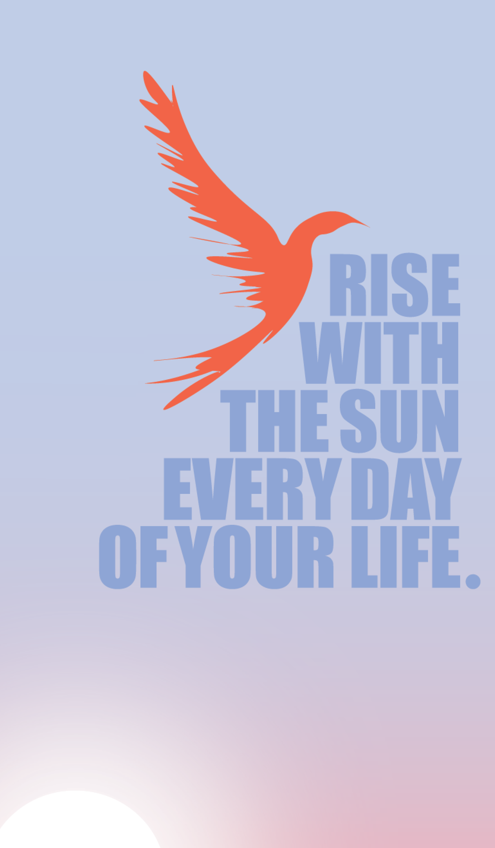 MAy2024_RISE2.png