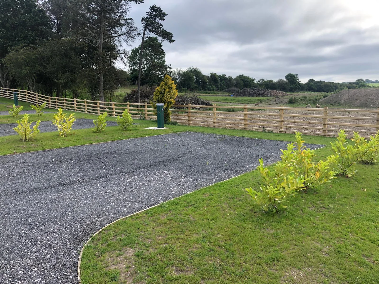 WhatsApp Image 2019-07-05 at 11.42.56.jpeg