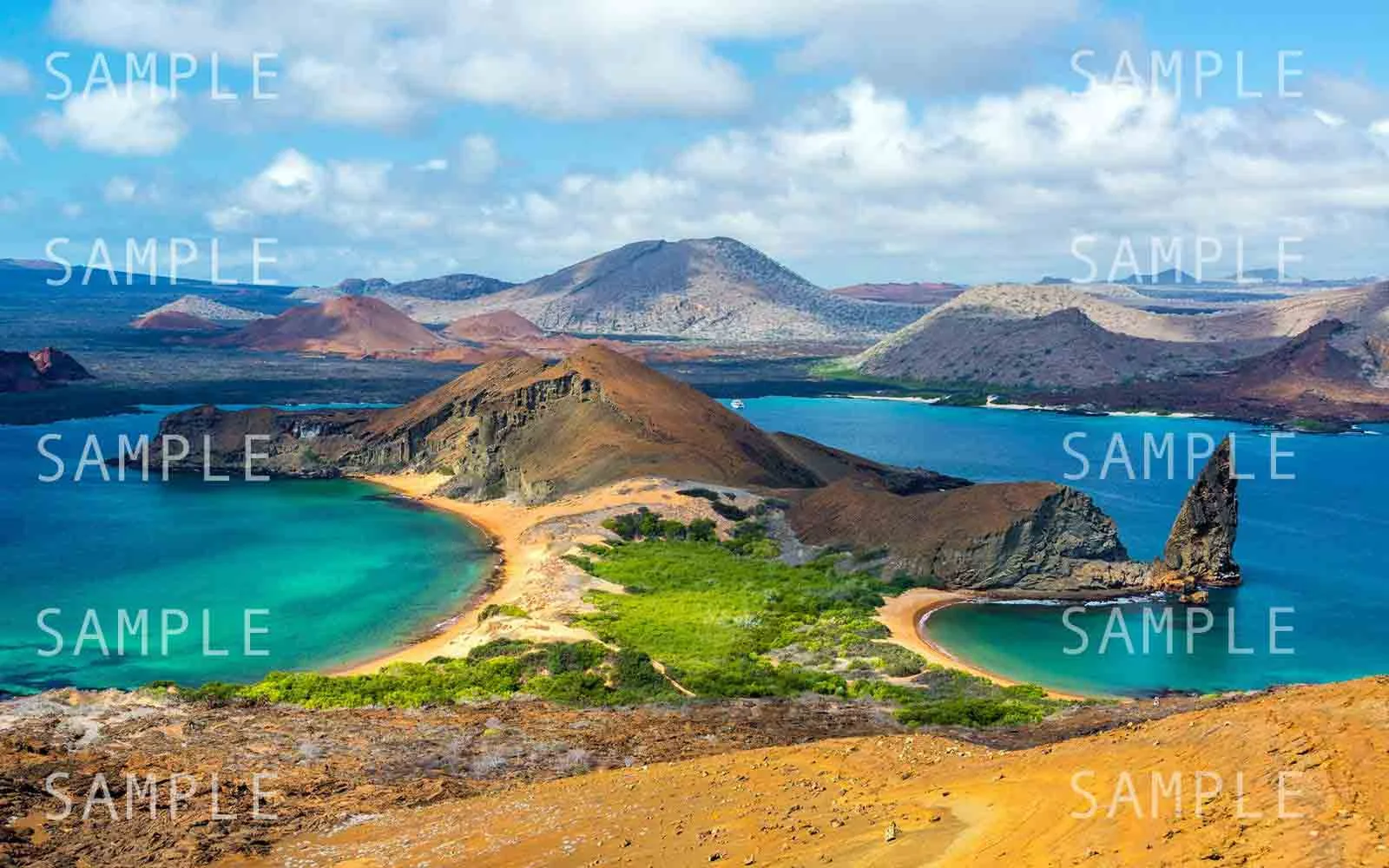 galapagos-islands-ecuador-GALAPA1104.jpg