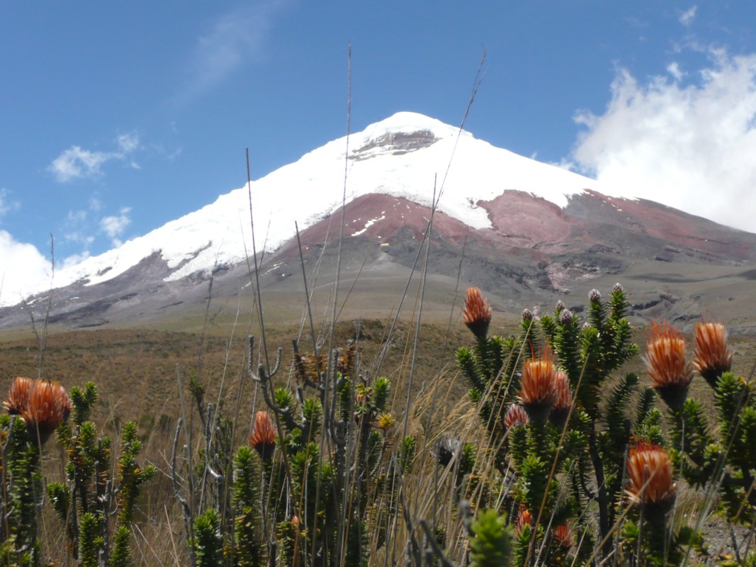 2) Cotopaxi: 