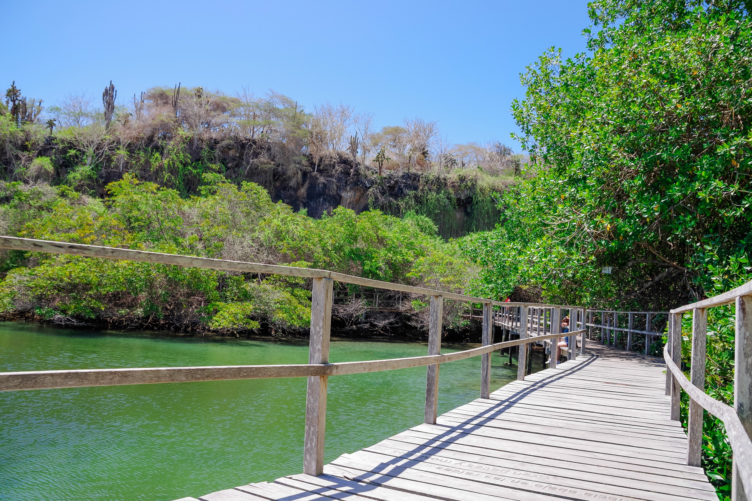 4) Wetlands: