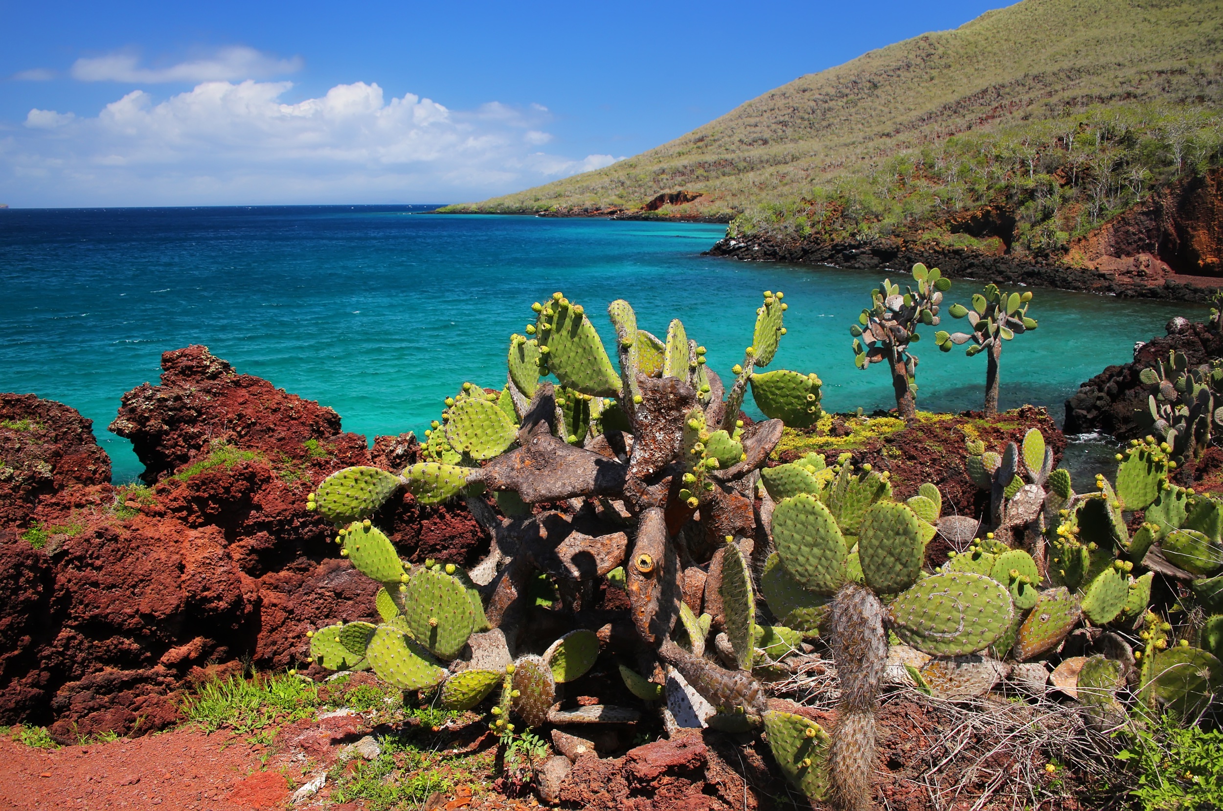 1) Rabida Island: