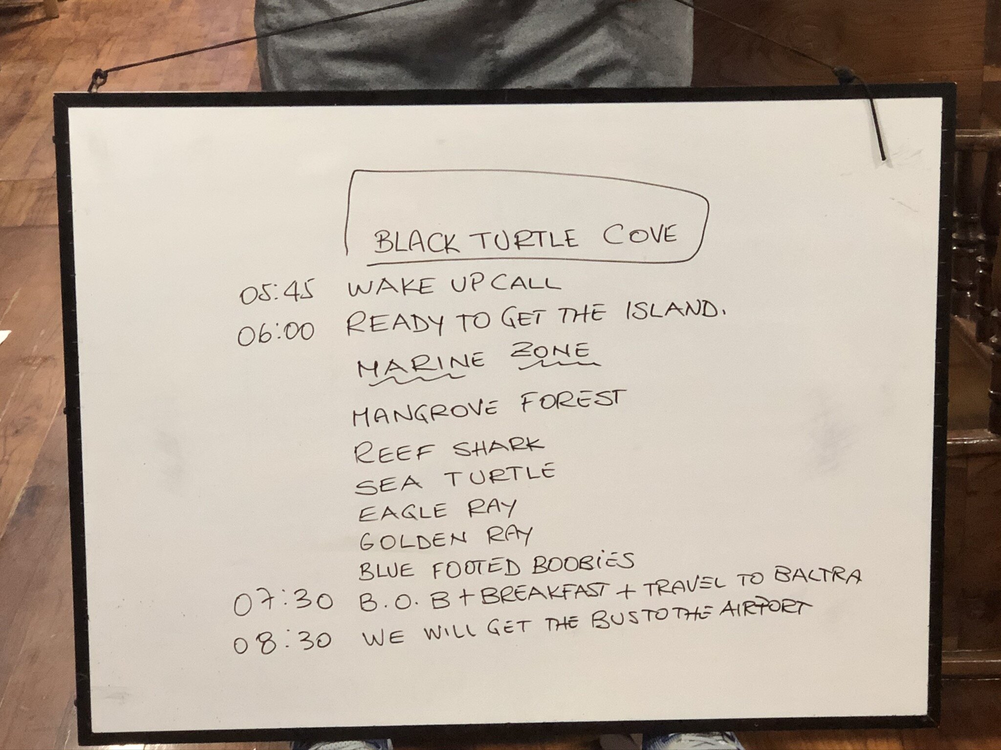 black-turtle-cove-itinerary.JPG