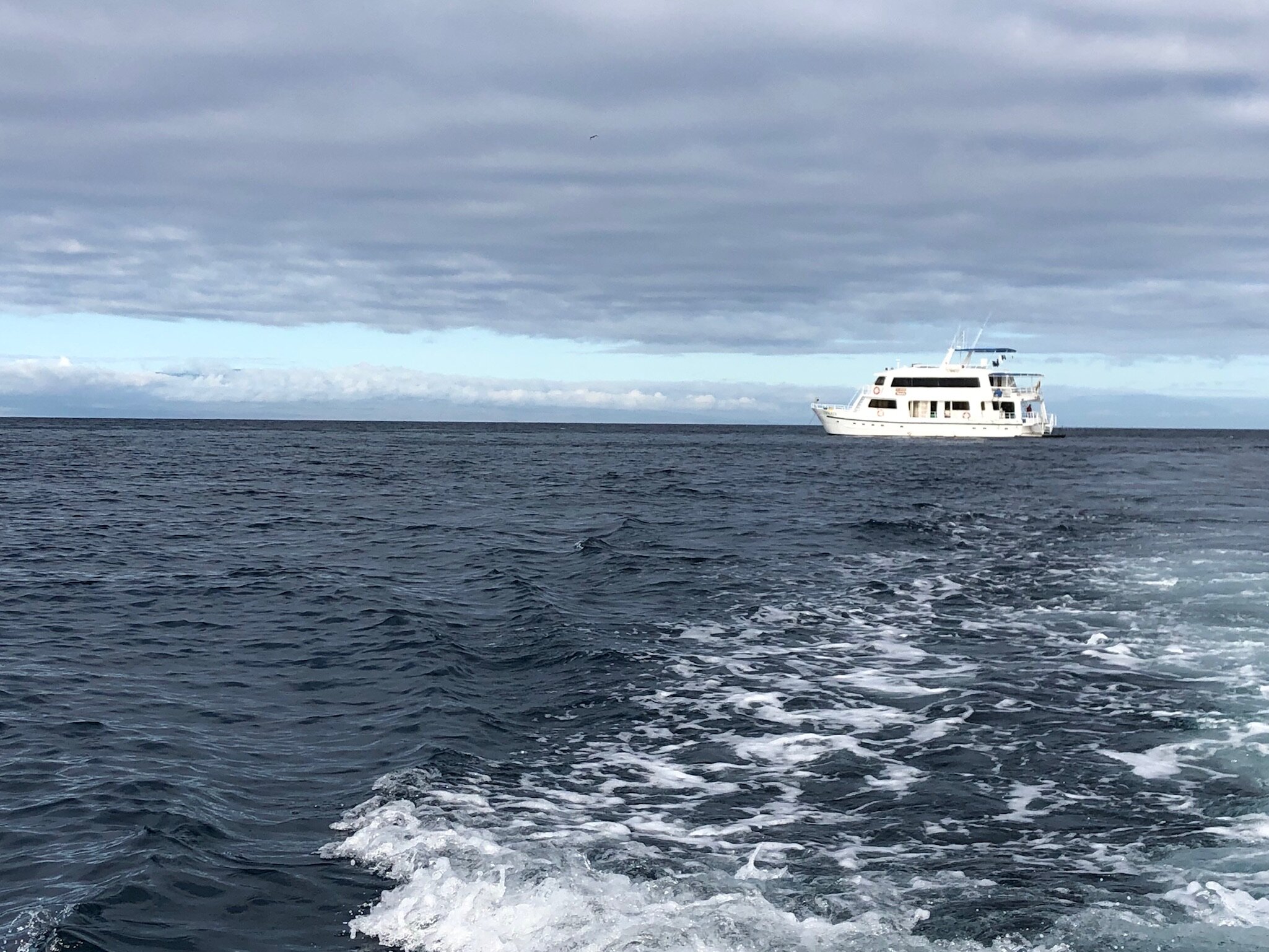galapagos-boat-tour.JPG