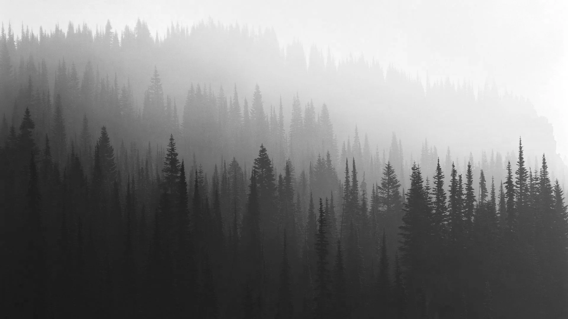 wallpapers-hipster_629642521.jpg