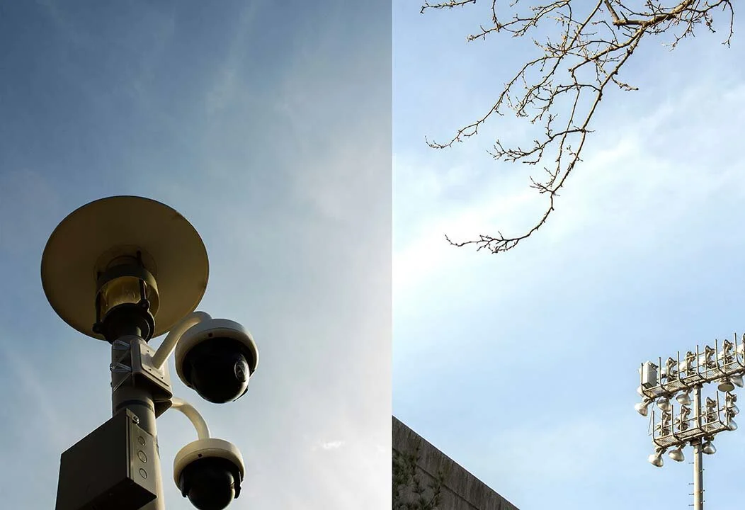 SPerrotte_Comparsion_3.jpg