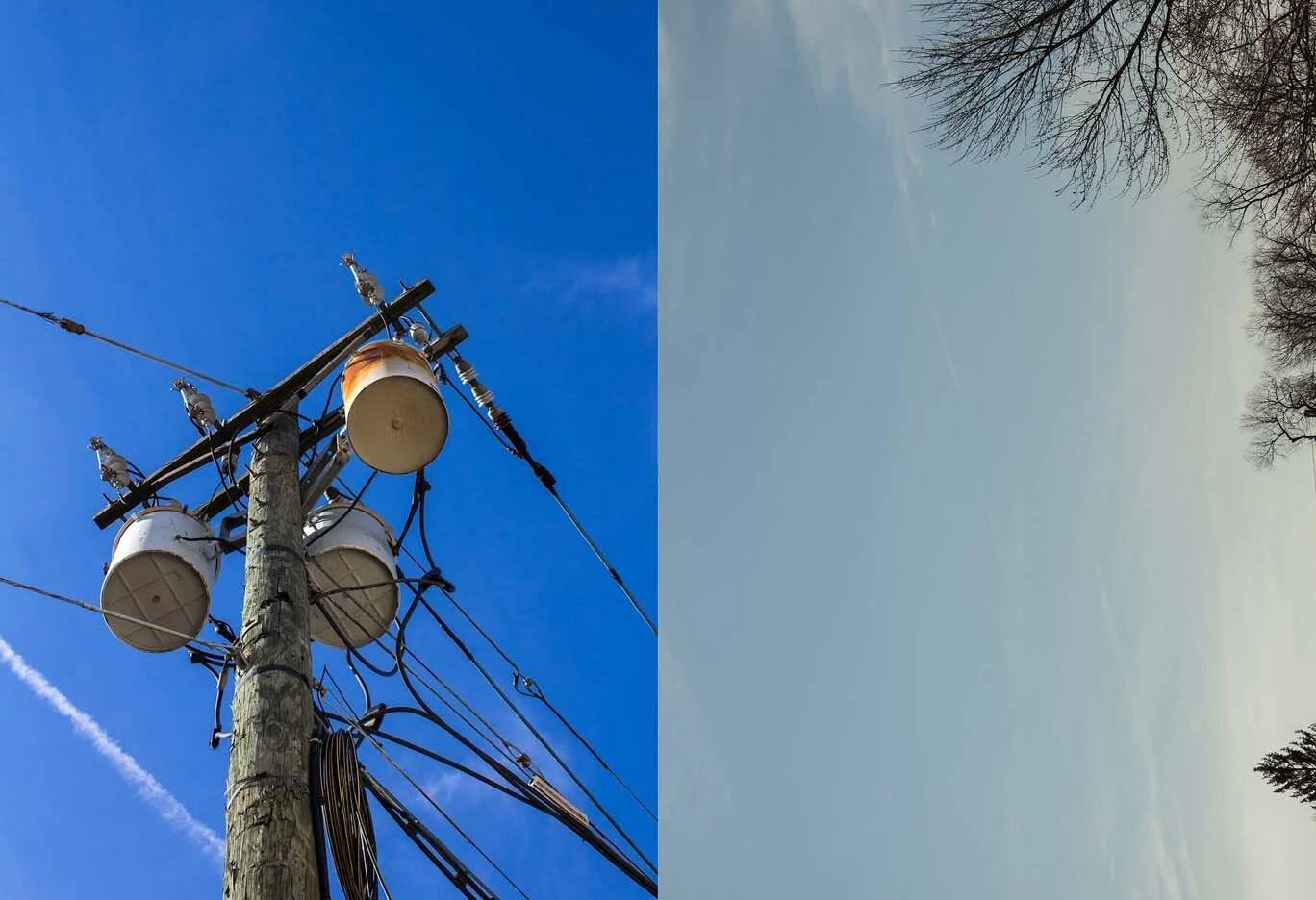SPerrotte_Comparsion_5.jpg