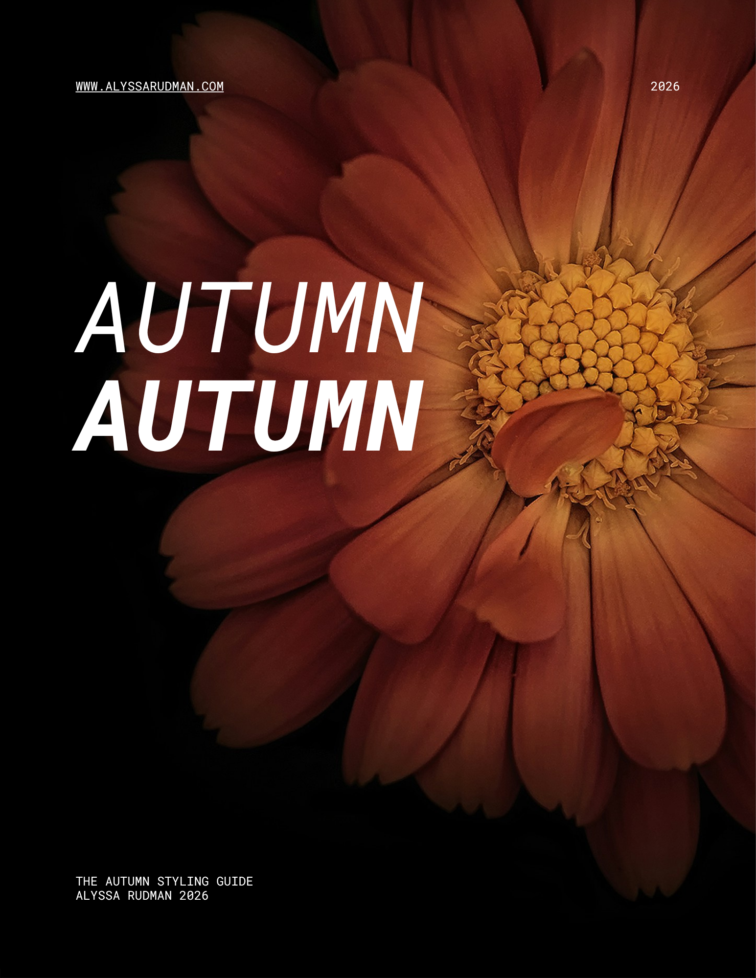 Autumn Color Type Guide