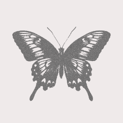 Body Type & Color Analysis: Gift Edition