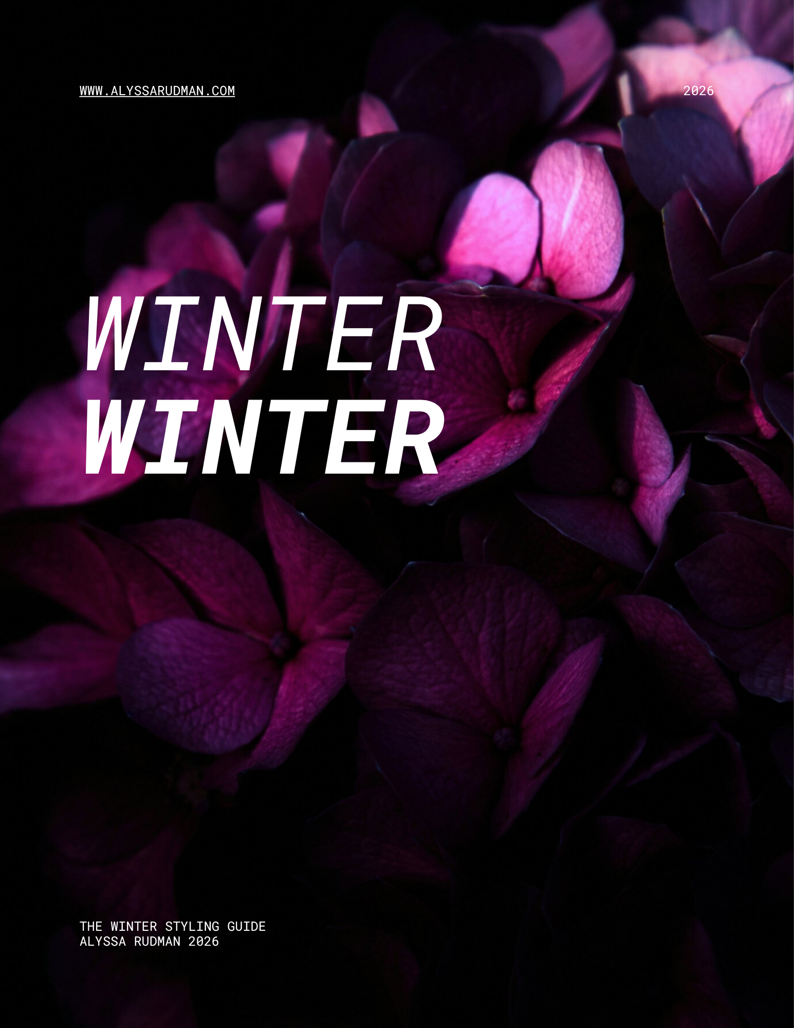 Winter Color Type Guide