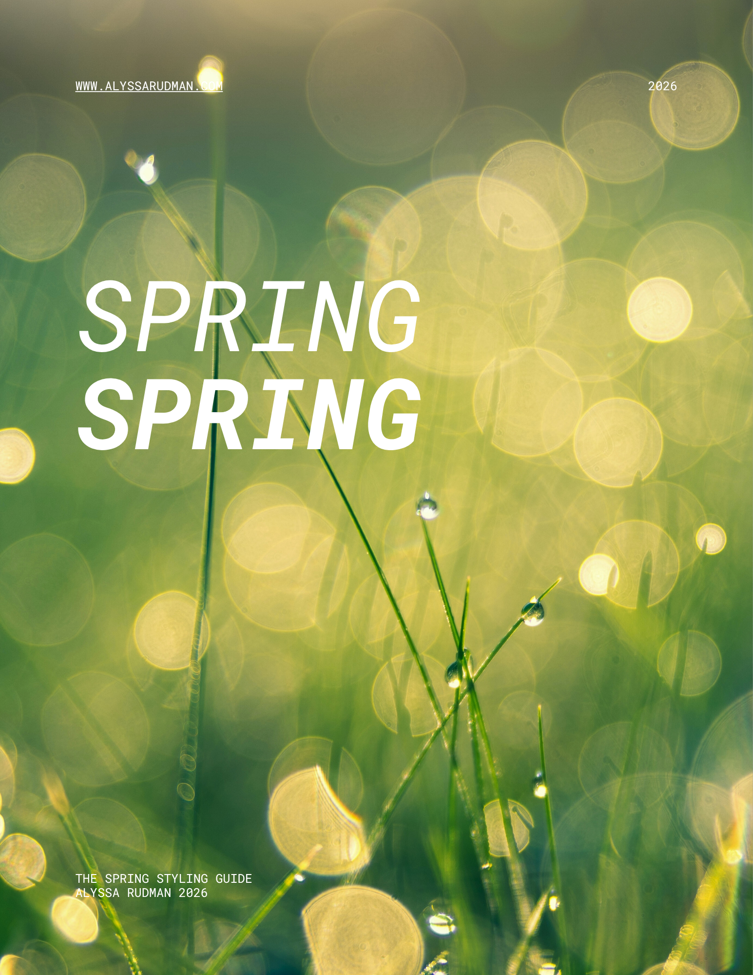 Spring Color Type Guide