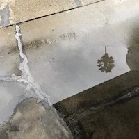 Dreams and Nightmares