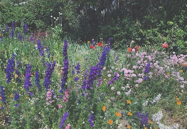 spring and summer are my absolute favorite seasons and I&rsquo;m not gonna lie but i feel bummed that it&rsquo;s not going to be how it was before. today was hard, the last few days have been hard. BUT I&rsquo;m practicing #gratitude (and it really i