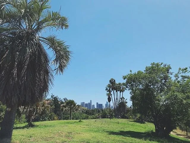 hi #LA ✨ keep up the good work ✨ some days are harder than others, but *usually* if I can force myself outside I feel better 🌴fleeting moments when I&rsquo;m looking at the branches rustling in the breeze, or watching birds hop through the grass bef