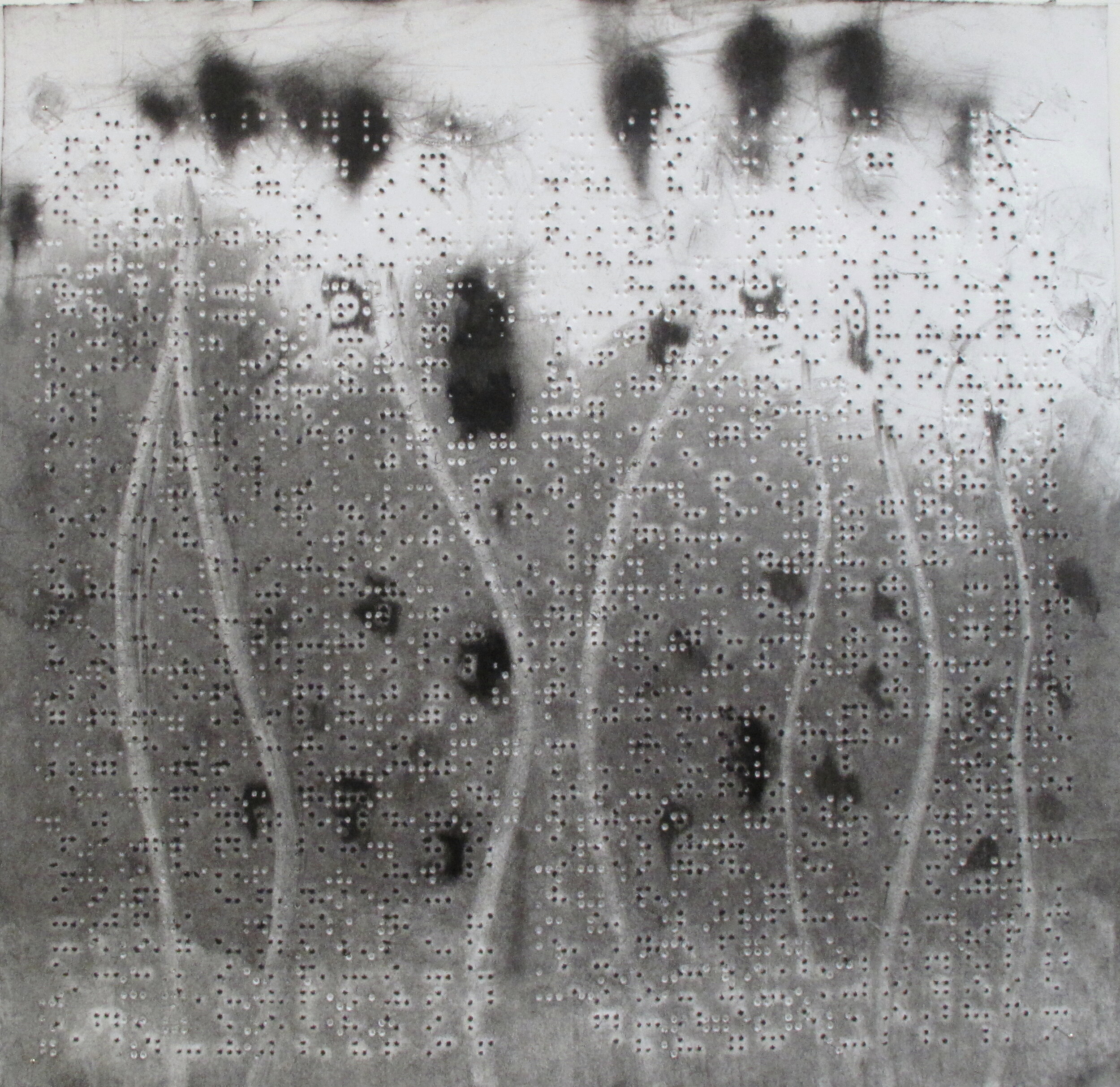  The Garden, 10”75×10.5” charcoal on Braille embossed paper Private collection, Milan, Italy 