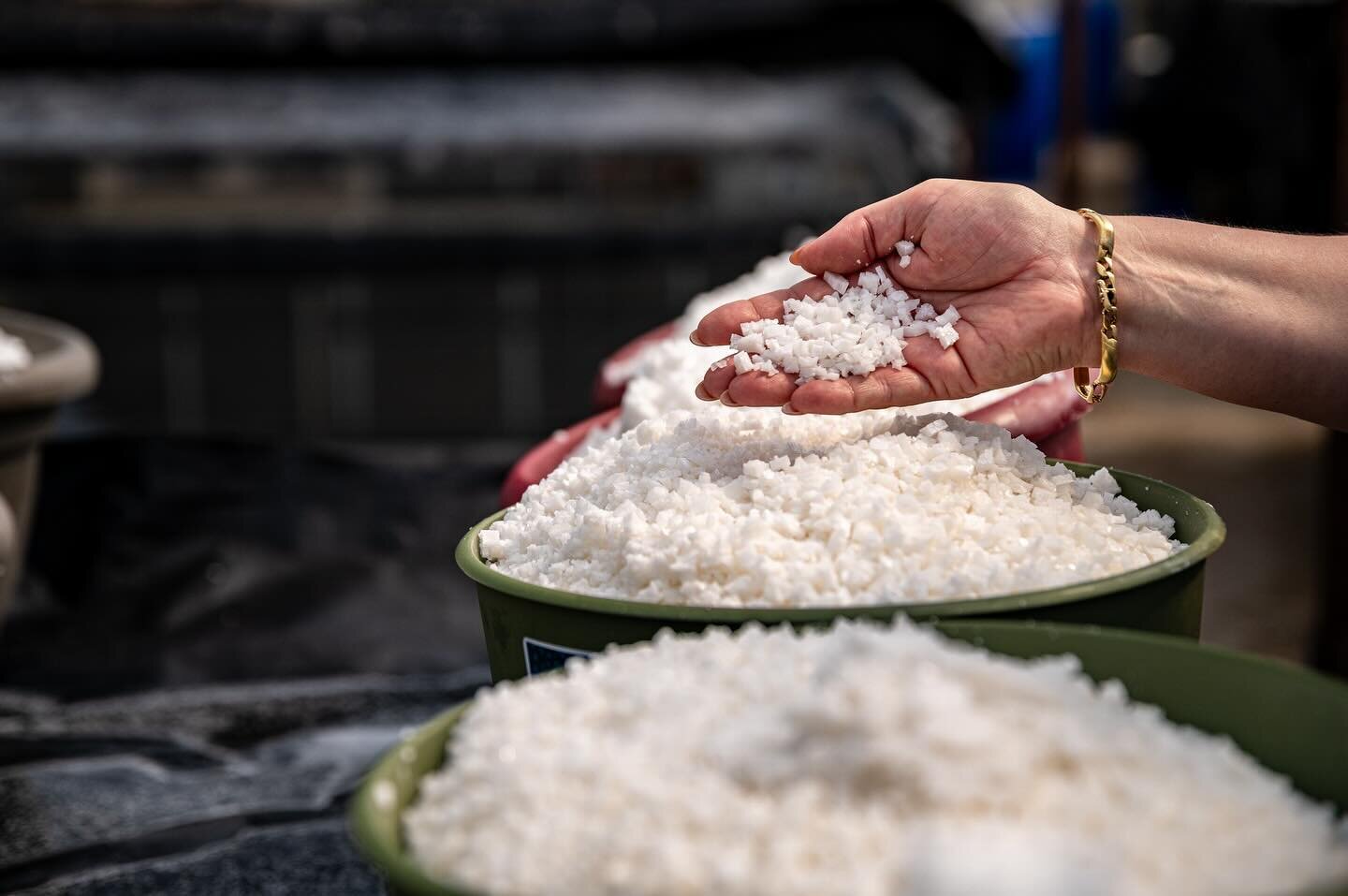 Nancy Bruns&rsquo; family has been harvesting salt from the ancient ocean trapped beneath the West Virginia hills for seven generations. Salt used to be big business in these parts &ndash; folks used it to preserve food in addition to culinary applic
