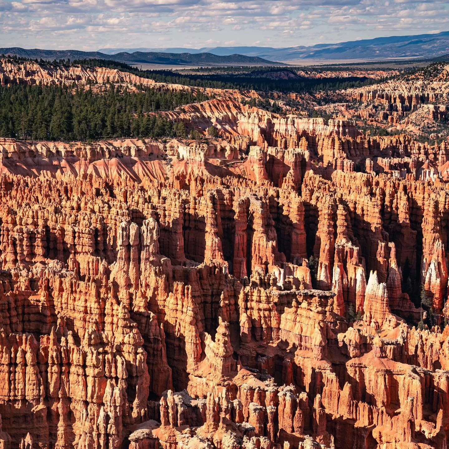 @brycecanyonnps was not originally on the docket, but a severe case of FOMO motivated me to make the drive up after my East Zion hike to catch golden hour. I knew little about Bryce before I arrived, and the geography STUNNED me with how unique it wa