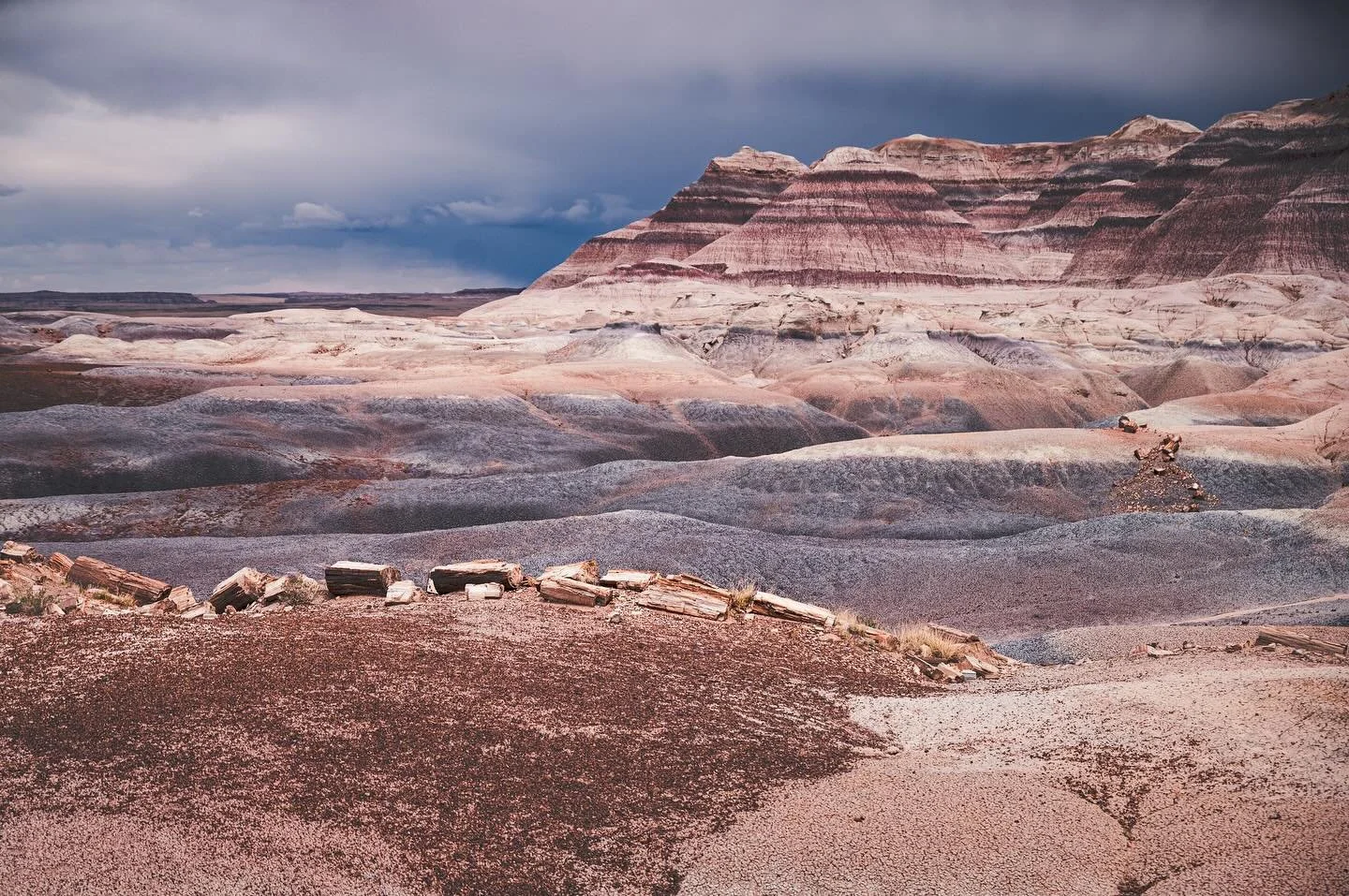 I&rsquo;ll admit it, I visited Petrified Forest National Park with low expectations &ndash; the park is small and photos online were&hellip;less than inspiring. But it&rsquo;s important to admit when you&rsquo;re wrong, and I couldn&rsquo;t have been
