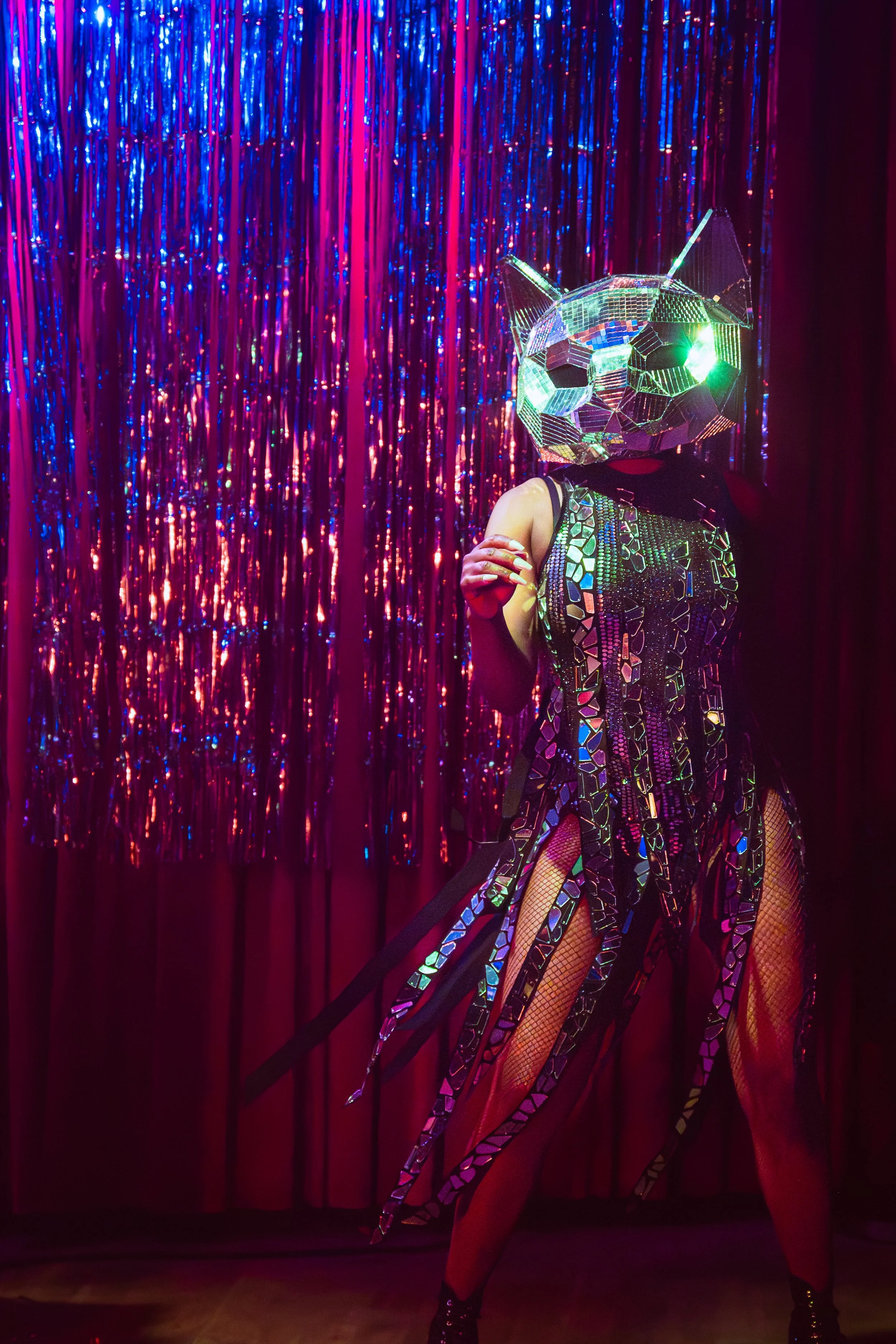 DiscoKitty_GoGoDance_SuspendedGravity.jpg