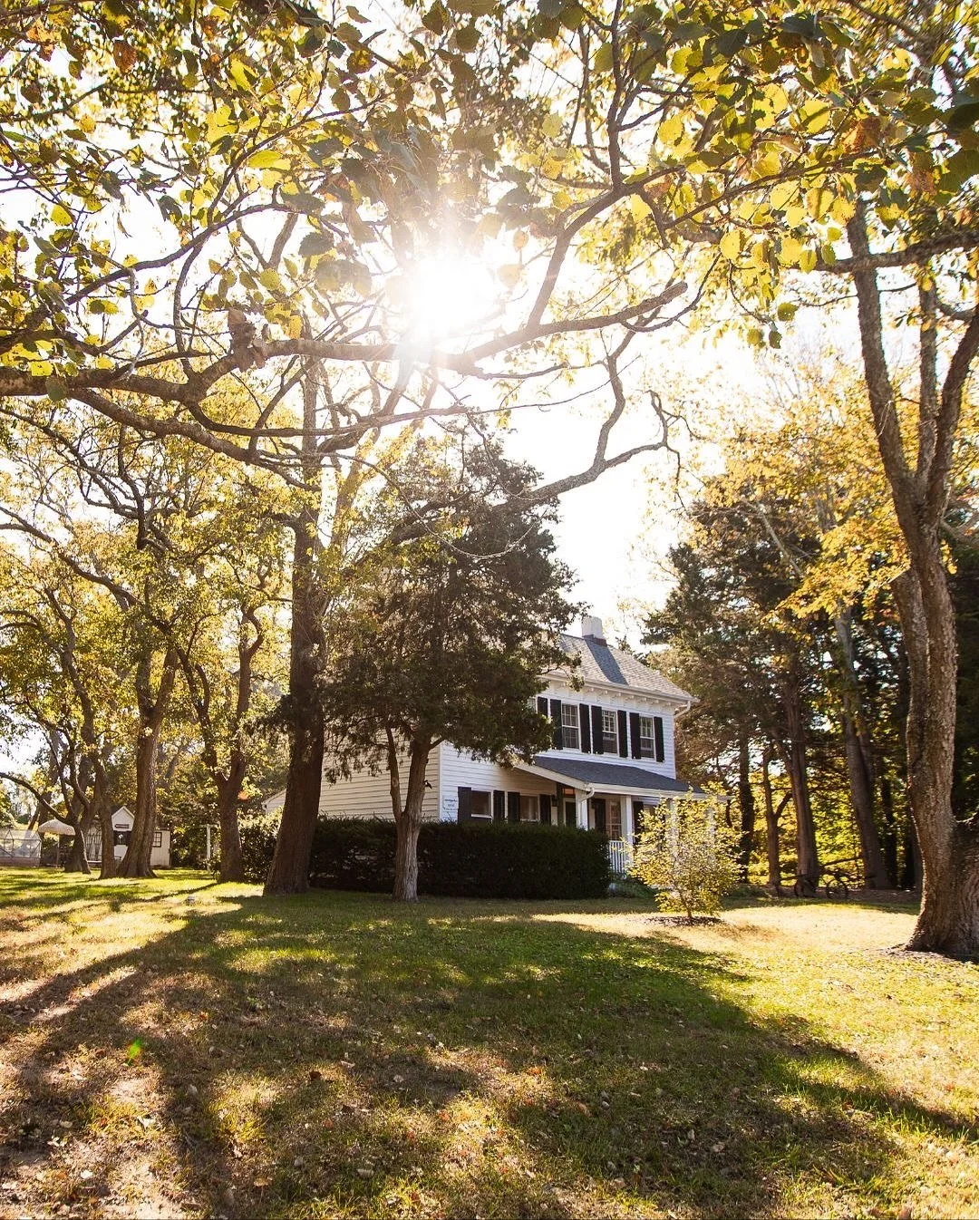 🦦🏡🌙 Introducing and welcome to @ottermoonfarmette This is your invitation to our Cape May, NJ property nestled in nature and down the street from the ocean. It is your inspired studio designed to spark creativity, calm and connection.

We love our