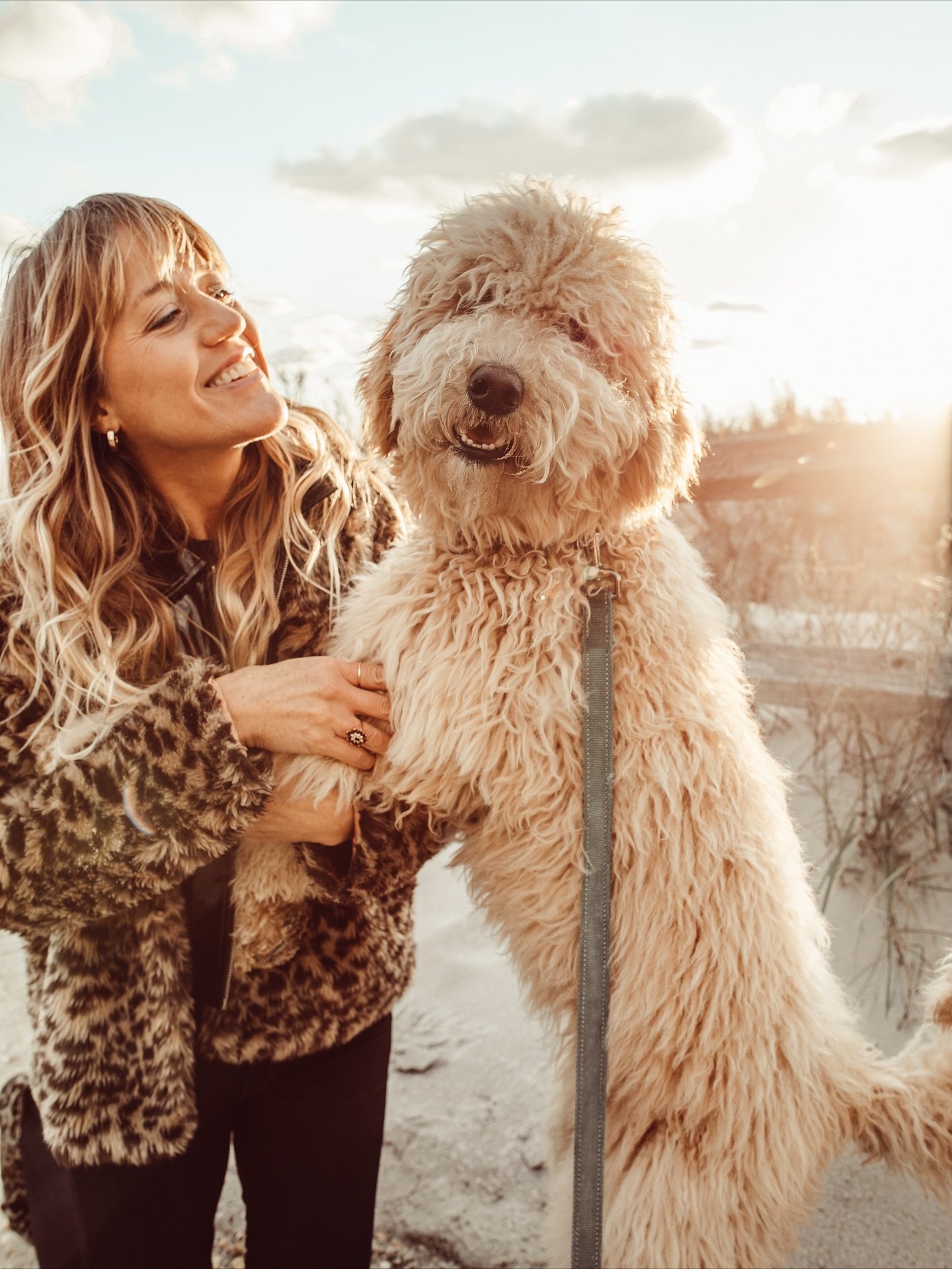Look at this cutie! Meet Maple, my sister&rsquo;s adorable goldendoodle &mdash; all bundled up in her fluffy winter coat. ❄️
If you&rsquo;re getting cozy too, now&rsquo;s the perfect time to enjoy all the festive holiday events around Cape May and ga