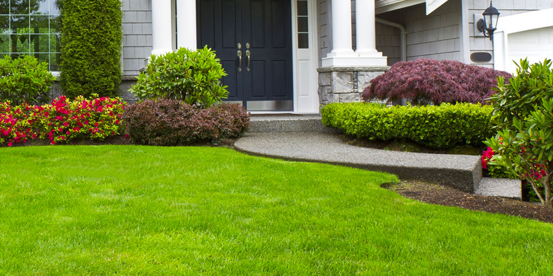 Lawn Care Services Bismarck, Nd