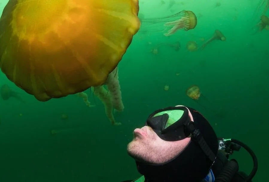 Out Of Your Mind: Making Real The Underwater Stories In Your Head with Patrick Webster