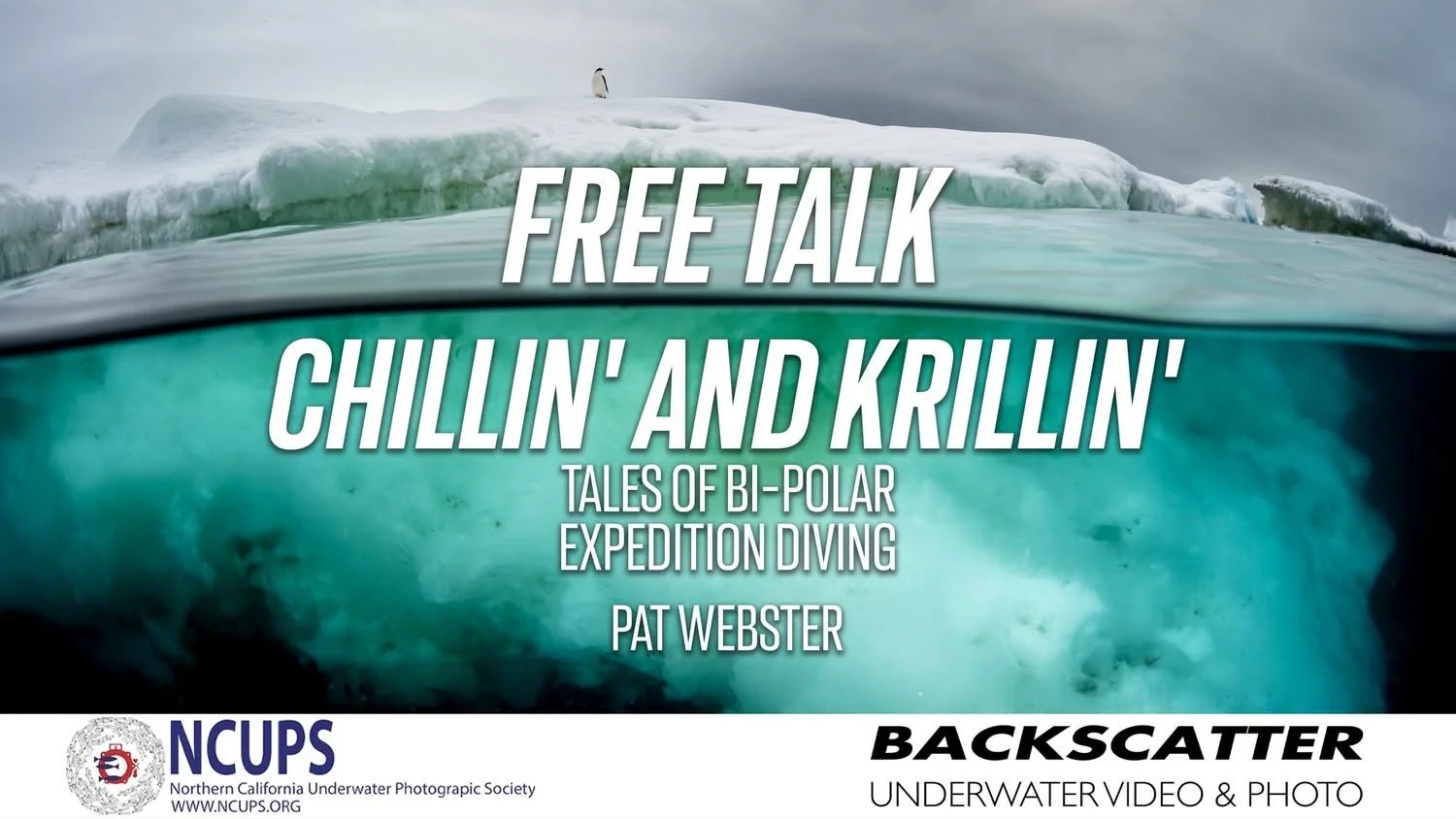 Above/below iceberg with penguin