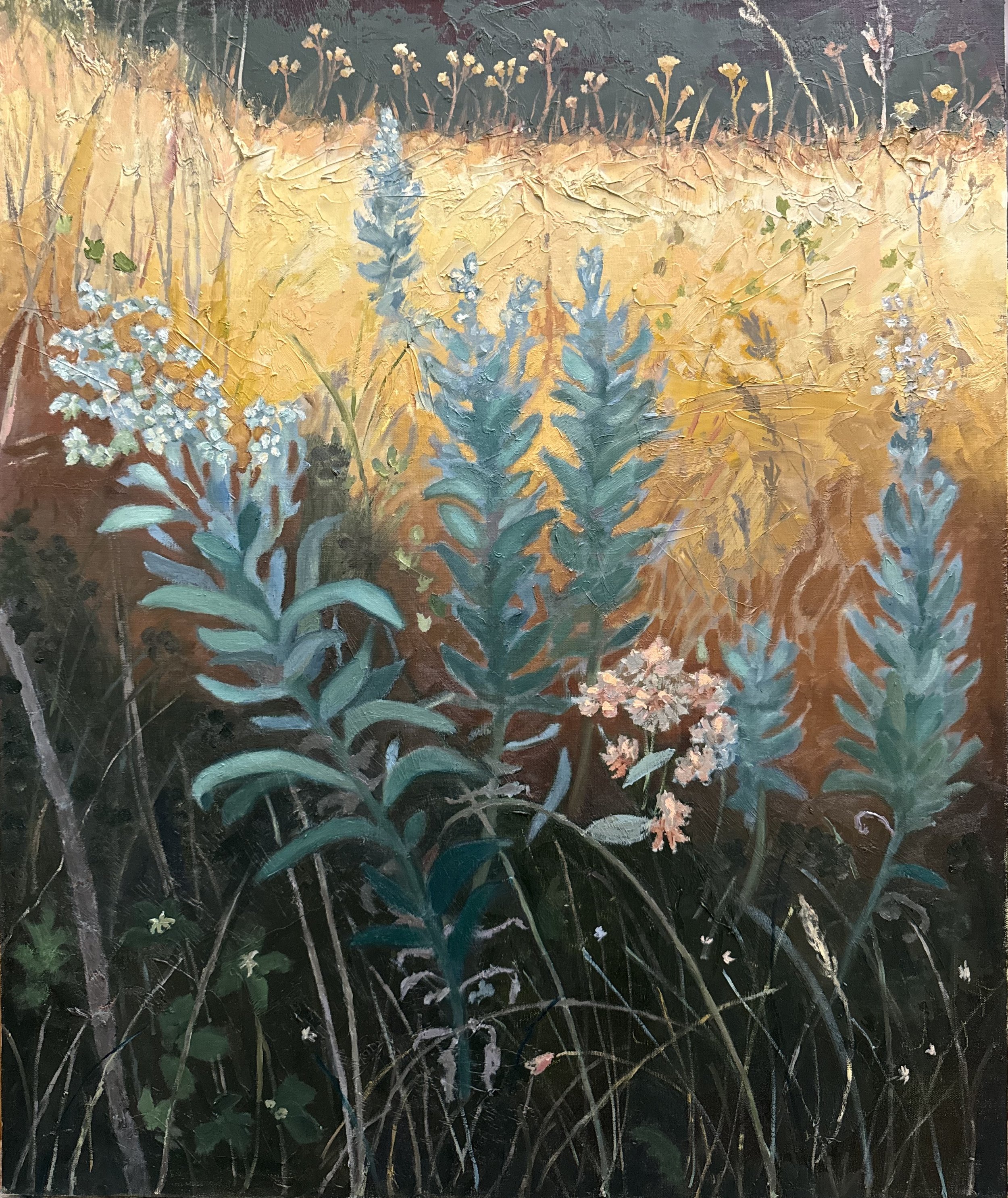 Meadow II, Old Chief Joseph's Grave