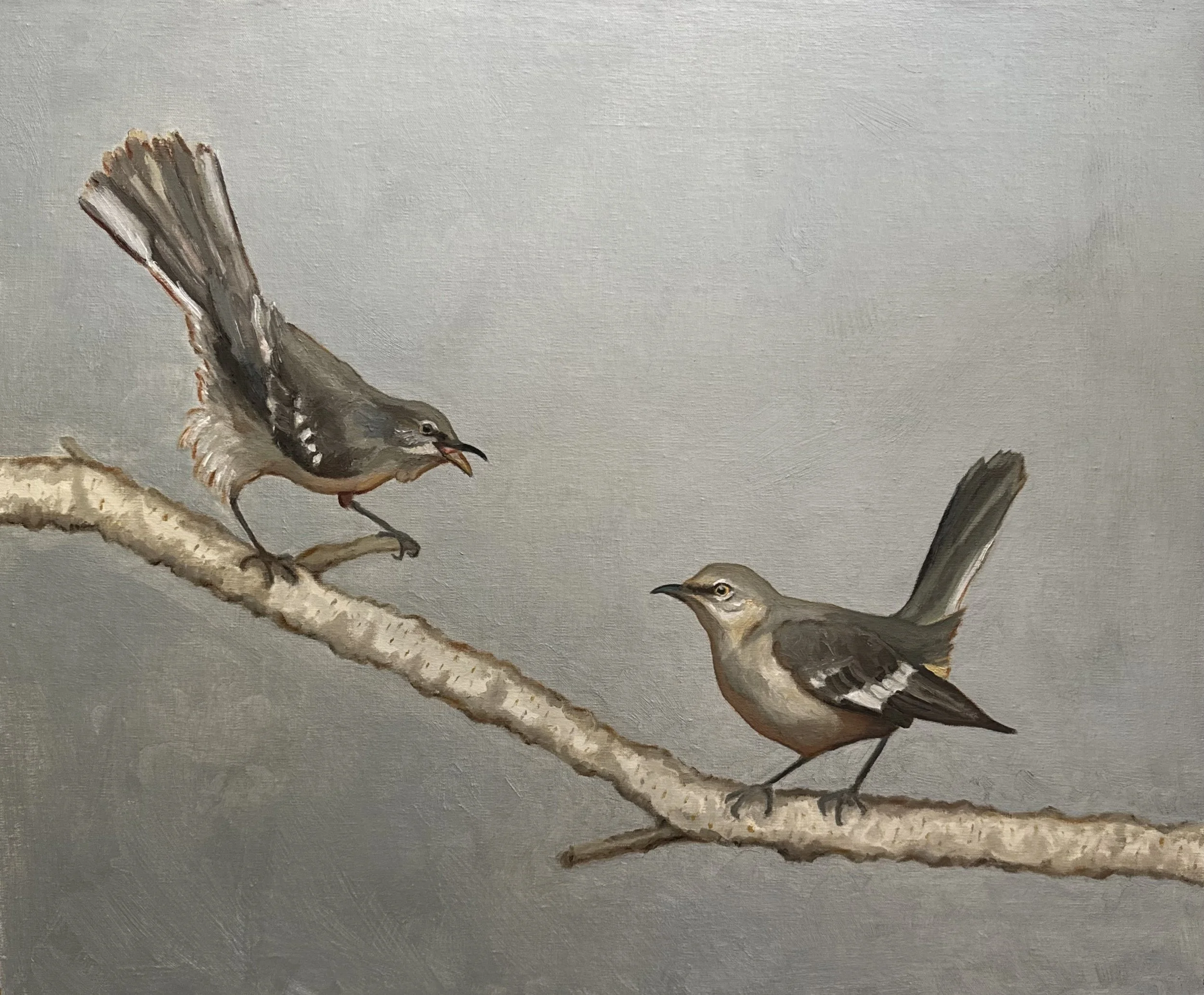 An Echo of Mockingbirds, 20x24 .jpeg