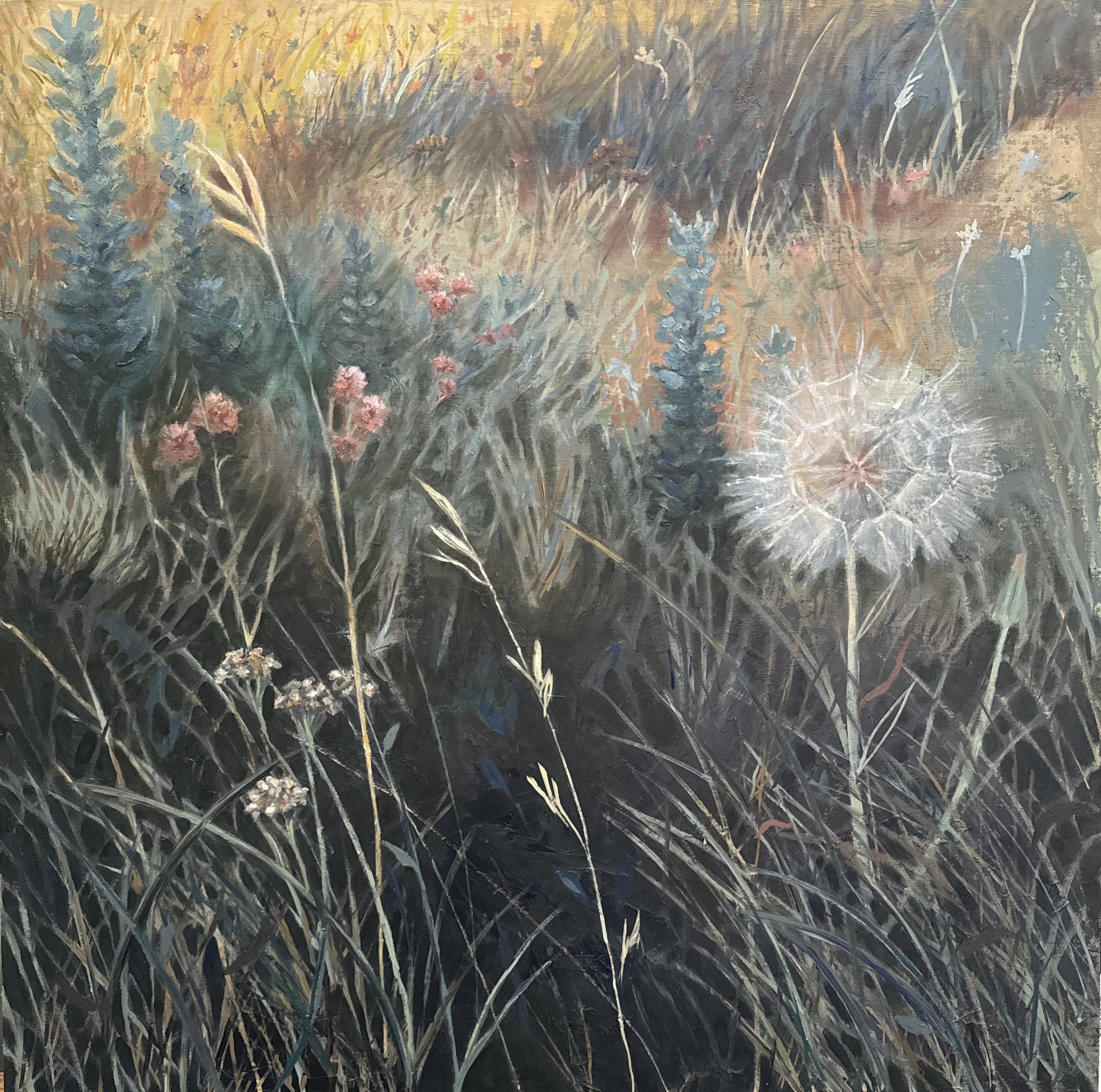 Meadow I: Old Chief Joseph's Grave