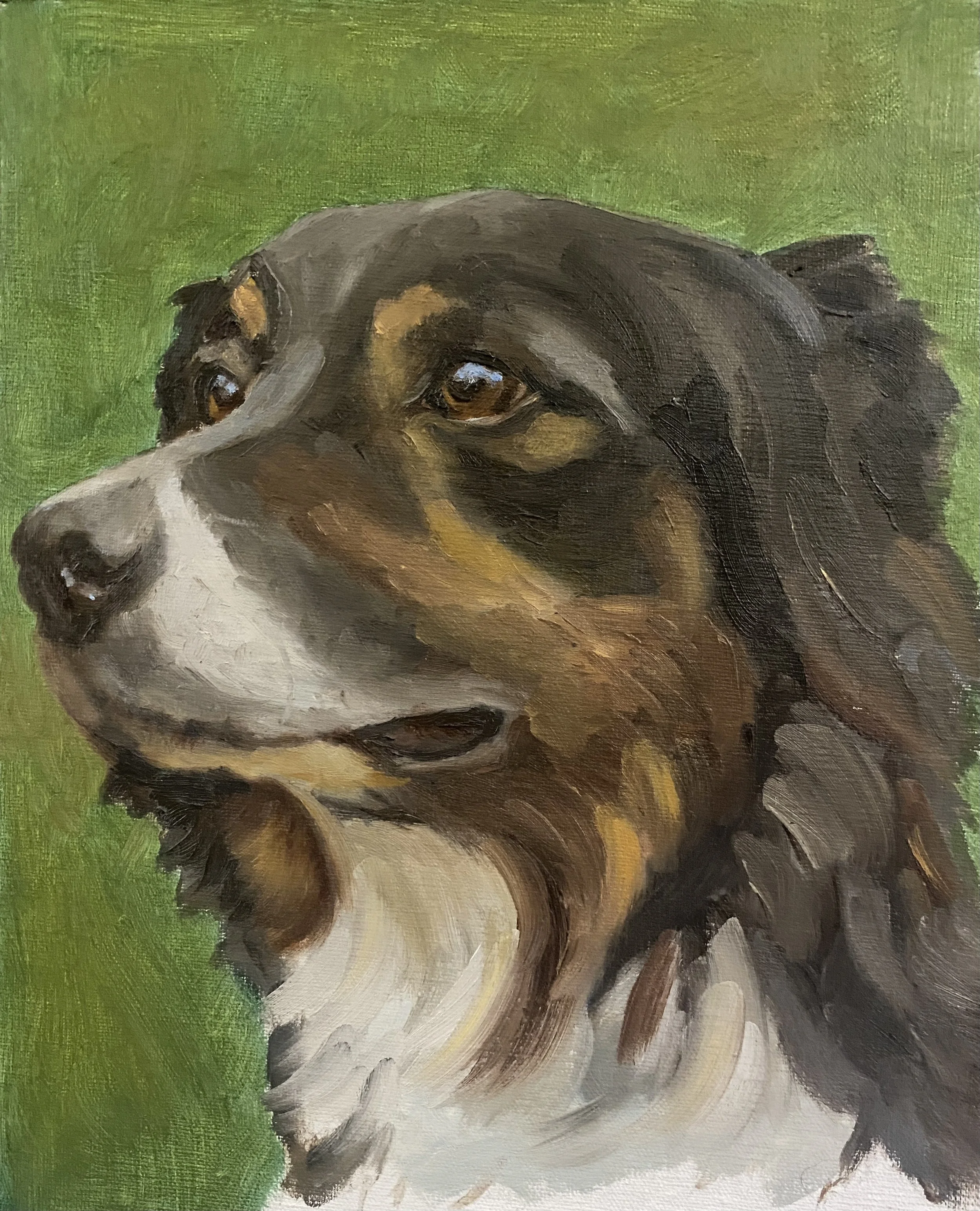 Jasper