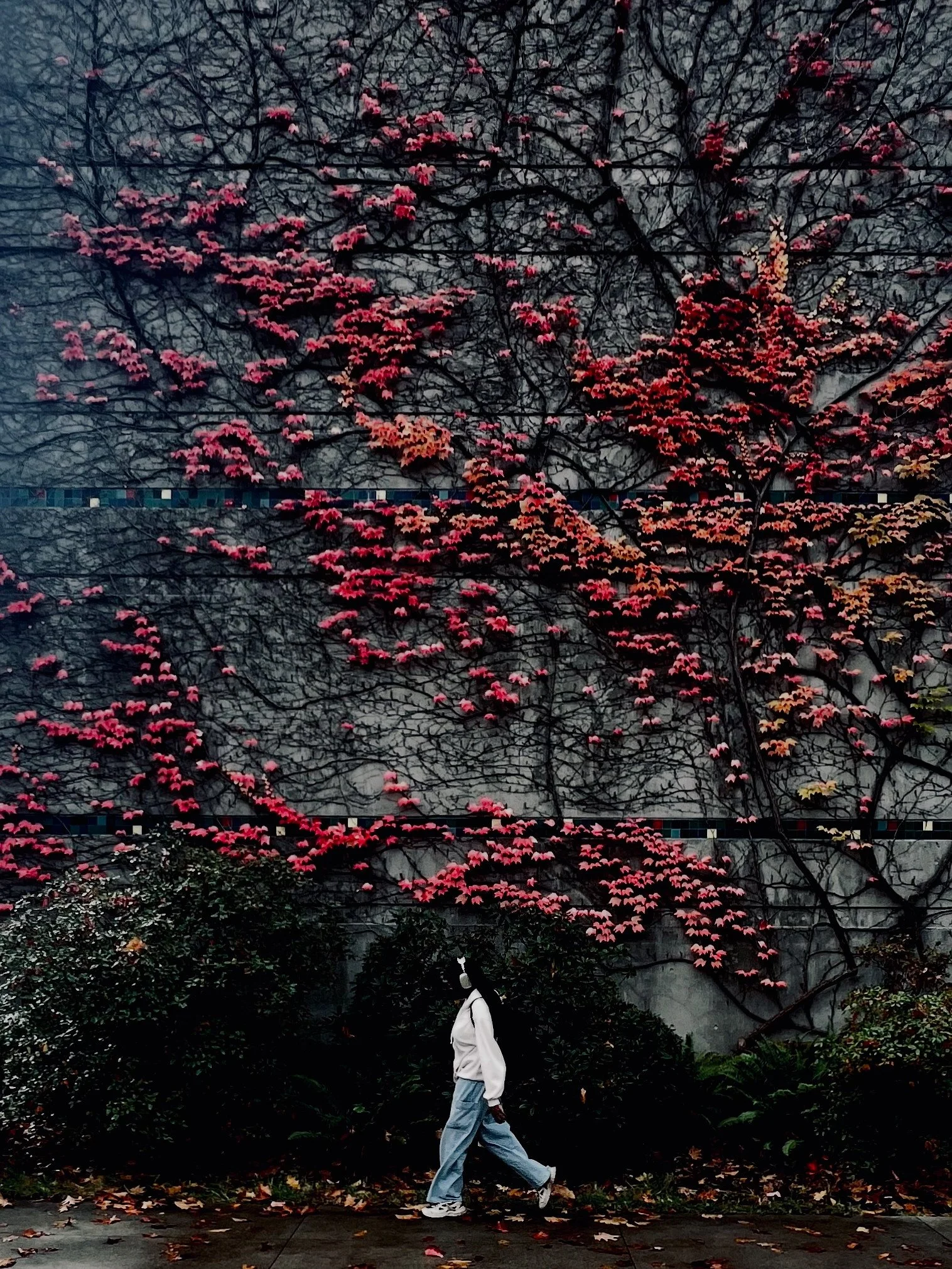 Tree Wall — Main Mall