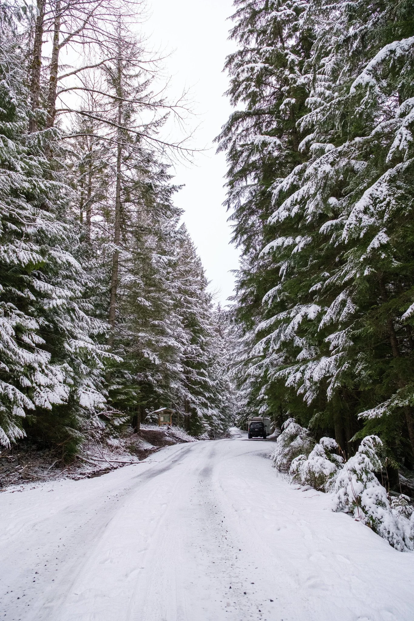 Lil'wat-Cheakamus-175