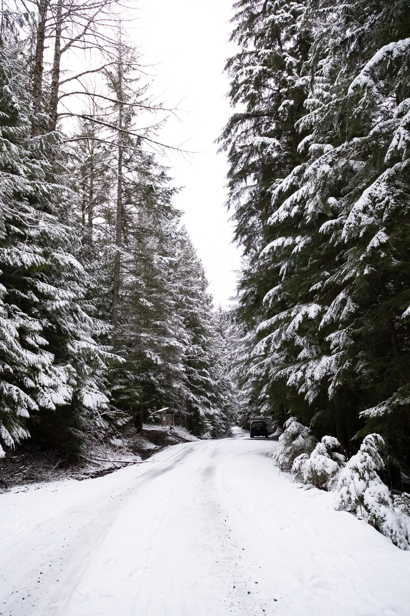 Lil'wat-Cheakamus-176