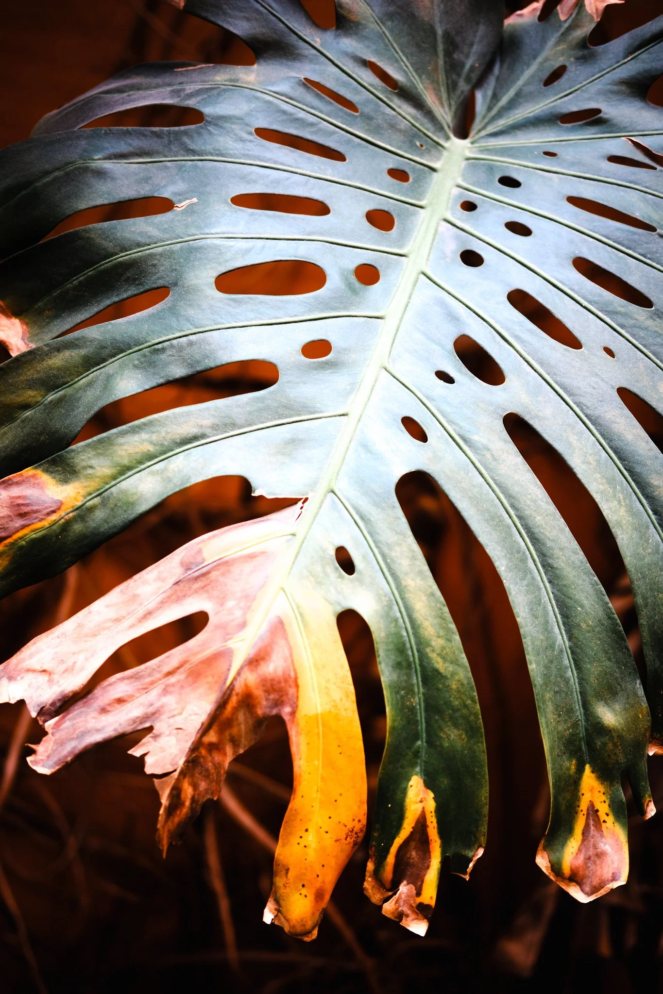 2026 FES CampusLife®(8)